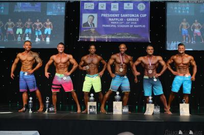 Men's Muscular Physique Open